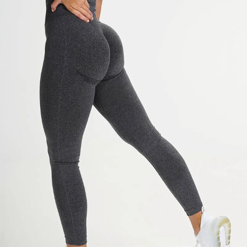 alpha-fit-com
